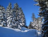 Schneeberg (2076m) téli, hótalpas túra