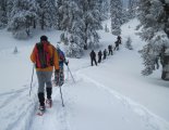 Schneeberg (2076m) hótalpas túra