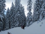 Schneeberg (2076m) hótalpas túra