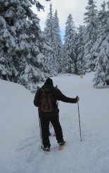 Schneeberg (2076m) hótalpas túra