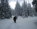 Schneeberg (2076m) hótalpas túra