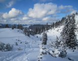 Schneeberg (2076m) hótalpas túra