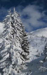 Schneeberg (2076m) hótalpas túra