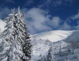 Schneeberg (2076m) hótalpas túra