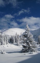 Schneeberg hótalpas túra