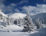 Schneeberg hótalpas túra