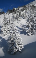 Schneeberg (2076m) hótalpas túra
