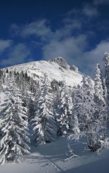 Schneeberg (2076m) hótalpas túra