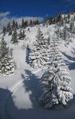 Schneeberg (2076m) hótalpas túra