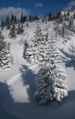 Schneeberg (2076m) hótalpas túra