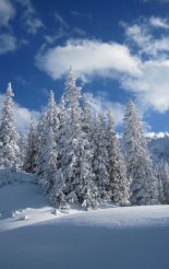Schneeberg (2076m) hótalpas túra