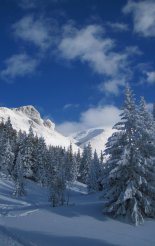 Schneeberg (2076m) hótalpas túra