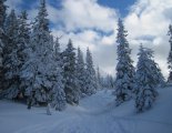 Schneeberg hótalpas túra