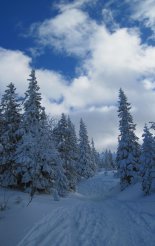 Schneeberg (2076m) hótalpas túra