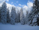 Schneeberg hótalpas túra