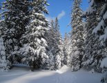 Schneeberg hótalpas túra