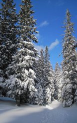 Schneeberg hótalpas túra