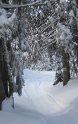 Schneeberg hótalpas túra