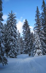 Schneeberg hótalpas túra