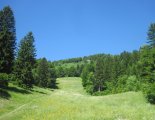 Schneeberg (2076m) - túránk elején