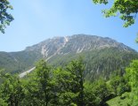 Schneeberg (2076m) - útban a menedékház felé