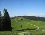 Schneeberg (2076m) - útban a menedékház felé