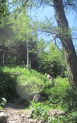 Schneeberg (2076m) - utunk során  a fennsíkig sziklás ösvényen haladunk