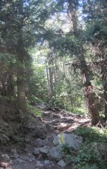 Schneeberg (2076m) - utunk során  a fennsíkig sziklás ösvényen haladunk