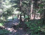 Schneeberg (2076m) - utunk során  a fennsíkig sziklás ösvényen haladunk
