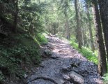 Schneeberg (2076m) - utunk során  a fennsíkig sziklás ösvényen haladunk