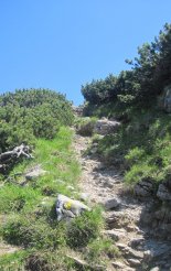 Schneeberg (2076m) - a fennsíkra vezető ösvény 