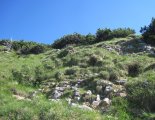 Schneeberg (2076m) - a fennsíkra vezető ösvény 
