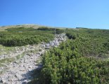 Schneeberg (2076m) - a fennsíkra vezető ösvény 