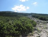 Schneeberg (2076m) - a fennsíkra vezető ösvény 