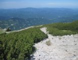 Schneeberg (2076m) - a fennsíkra vezető ösvény 