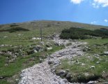 Schneeberg (2076m) - a fennsíkra vezető ösvény 