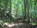 Schneeberg (2076m) - túránk elején szép erdei ösvényen is haladunk