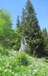 Schneeberg (2076m) - túránk során néhol gyönyörű virágos réteken haladunk