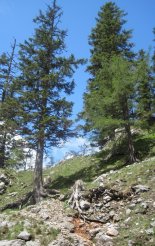 Rax-Alpok: Teufelsbadstubensteig - via ferrátánk vége