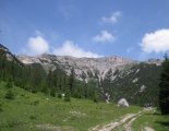 Rax-Alpok: Heukuppe(2007m) - túránk elején, egy szép fenyvesben