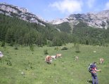 Rax-Alpok: Heukuppe(2007m) - utunk közben, alpesi legelőkön haladunk