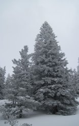 Rax-fennsík (1738m) - hótalpas túra