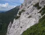 Rax-Alpok: Preinerwandsteig - via ferrata túránk elején - sziklákon egy zerge a kicsinyével