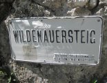 Hohe Wand: Wildenauersteig