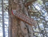 Hohe Wand: Wildenauersteig - útban a beszállás felé