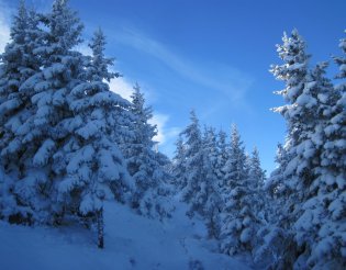 Stuhleck (1782m) - hótalpas túra