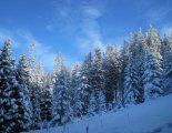 Stuhleck (1782m) - hótalpas túra