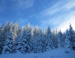 Stuhleck (1782m) - hótalpas túra