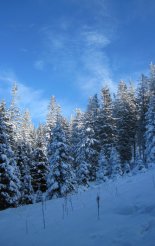 Stuhleck (1782m) - hótalpas túra