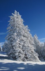 Stuhleck (1782m) - hótalpas túra